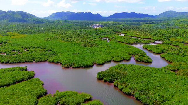 Panoramic drone perspective of the vast mangrove swamps and tidal rivers in Siargao Island Philippines