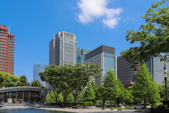 初夏の青空と緑豊かな皇居前オフィス街の噴水公園