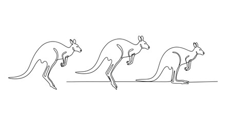 Kangaroo jumping sequence sketch with line art animal behavior animal locomotion australian © Line Galaxy