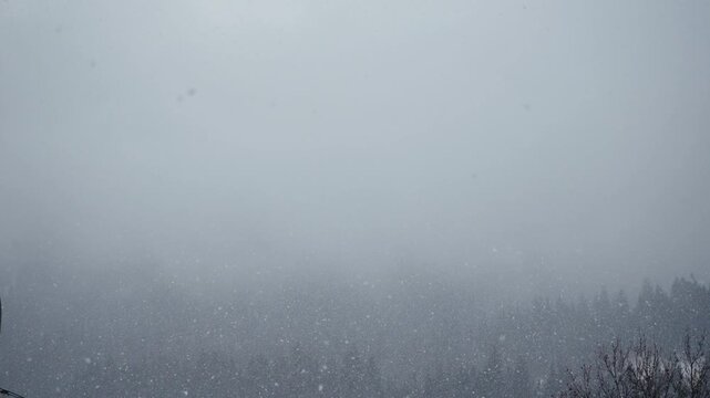 Heavy snowfall in mountains with snowflakes falling in front of pine forest. Static camera, calm winter atmosphere, peaceful nature background, cold weather, slow motion.