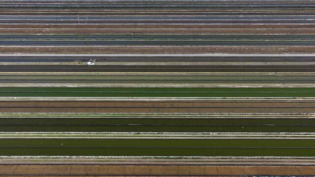 Yellowtail Fish Farm Kats Zeeland Aerial View