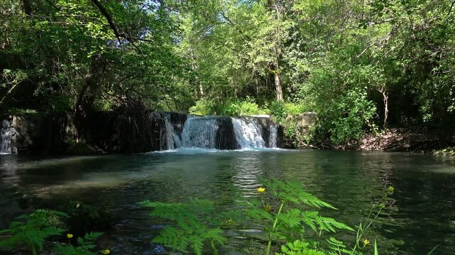 Lush forest river with flowing waterfall and green rocks