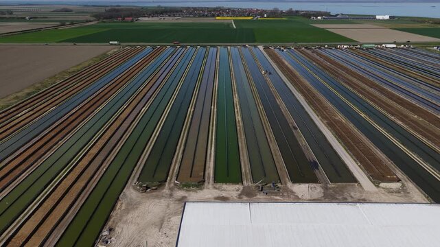 Yellowtail Fish Farm Kats Zeeland Aerial View