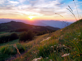 Sunset over Monte Ventasso with Wildflowers in the Apennines, Italy © Patrizia