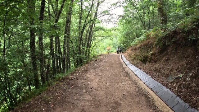 French Way of Saint James - mountain path between Las Herrerias and La Faba, El Bierzo, province of Leon, Castille and Leon, Spain