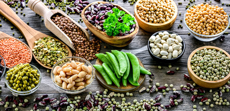 Common legumes that are the basis of plant-focused diets