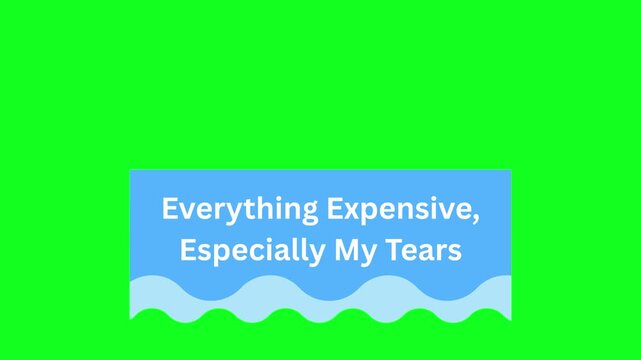 Everything Expensive Especially My Tears Inflation Meme Green Screen