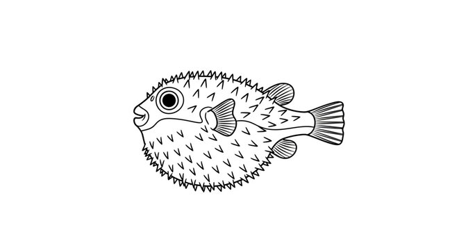 Black and white illustration of a puffer fish with spiky skin and detailed fins