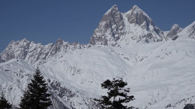 Handheld zoom toward Ushba peak in Caucasus Mountains, Georgia. Snowy forest foreground and dramatic alpine summit, natural camera shake creating real presence effect