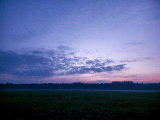 Fototapeta premium Dawn with a violet sky and silhouettes of trees in the foreground, view over a misty field during the early morning near 49424 Goldenstedt, Vechta district, Germany