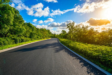 Fototapeta premium Asphalt Road Through Lush Green Forest with Blue Sky
