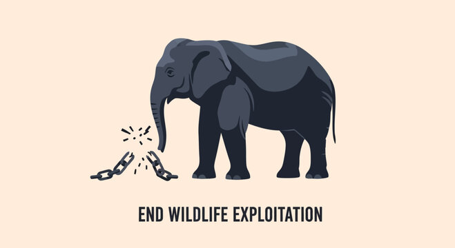 Elephant breaking free from metal chains symbolising wildlife freedom.