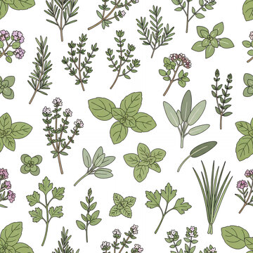 Herbal Garden Botanical Pattern Fresh Green Herbs Collection