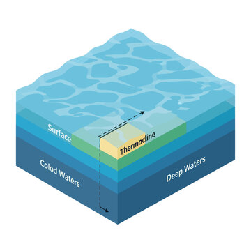 Ocean Temperature Layers - Surface, Thermocline, Cold and Deep Waters.