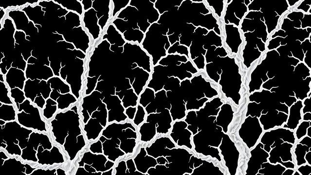 malbec. Abstract fungal mycelium network pattern with white filaments and organic branching on dark background. gardening catalogs, home-decor guides, designed for gardening and botanical catalogs.