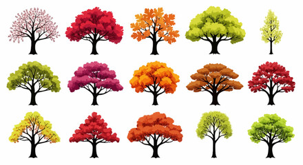 Colorful seasonal tree collection, set of 15 flat vector trees in autumn and spring colors, vibrant foliage icons for landscape design and infographics © Viadalla