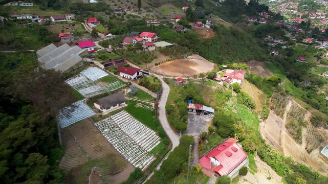 drone view showcasing the integration of residential life and commercial agriculture on a lush mountain slope in Colonia Tovar Venezuela