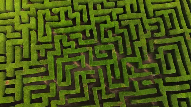 Aerial orbit shot of a square labyrinth, geometric hedge garden design