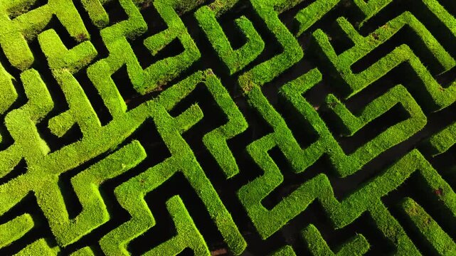Aerial orbit shot of a square labyrinth, geometric hedge garden design
