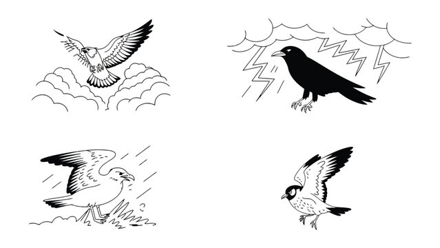 Avian Vignettes: A quartet of avian illustrations showcasing diverse bird species, each captured in unique poses and against contrasting weather patterns.
