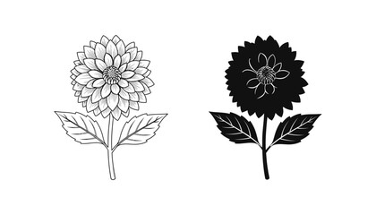 Dahlia flower botanical illustration vector icon set featuring detailed floral art and solid silhouette for gardening and nature design themes in black and white style for high-quality graphic assets © Eastern