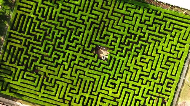 Aerial top down view of a square hedge maze, geometric green pattern, symmetry