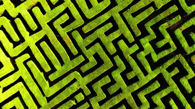 Aerial top down view of a square hedge maze, geometric green pattern, symmetry.