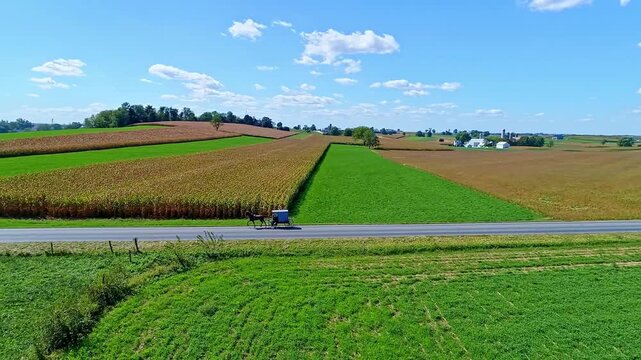 A horse and buggy moves slowly on the road. Wide open fields and a rural road are shown from above on a sunny day. The green and brown crops stretch far into the distance under the blue sky.