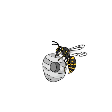 Wasp on a paper nest vector illustration. Flat design graphic of a yellowjacket insect. Isolated nature and pest control concept