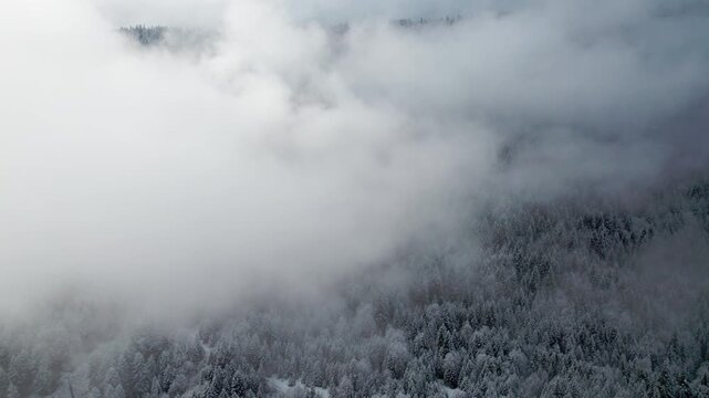 Drone pulling back through clouds over snowy pine forest and mountain village in gorge, Svaneti, Georgia. Cinematic aerial view, Caucasus mountains, misty high altitude landscape