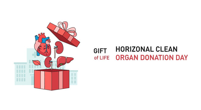 Gift of life concept with human internal organs emerging from a red gift box.