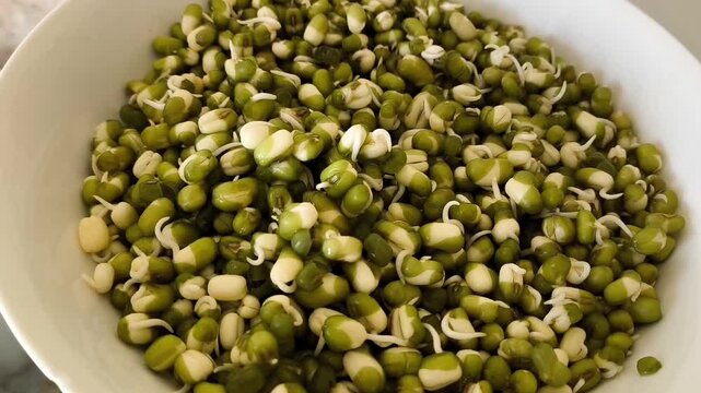 Sprouted mung bean with sprouts for salad in a plate. Proteins, protein