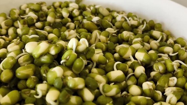 Sprouted mung bean with sprouts for salad in a plate. Proteins, protein