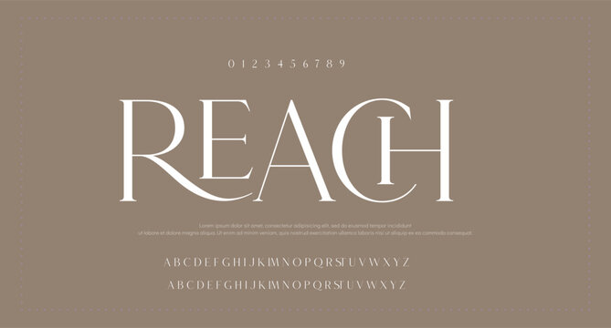 ligature; font; design; logo; vector; invitation card; elegant; script; trendy; restaurant; decorative; beautiful; luxury; Sans Serif; thin; typeface; modern; wedding; lettering; packaging; perfumery;