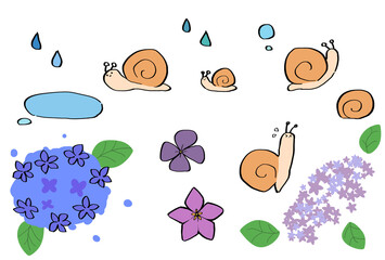 アジサイ　かたつむり　 © 雪乃 江本