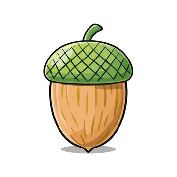 Stylized green-capped acorn illustration with hand-drawn detail and shadow