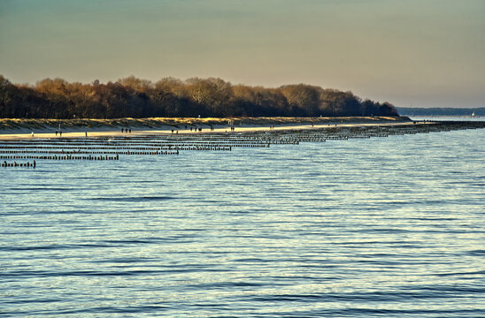 Baltic sea coast with groynes and people walking on beach in winter