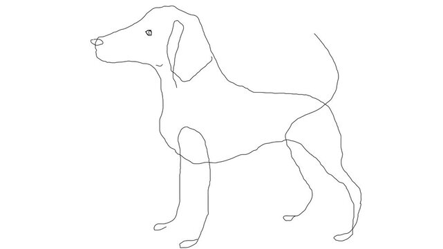 Dog The First in the kingdom of dogs