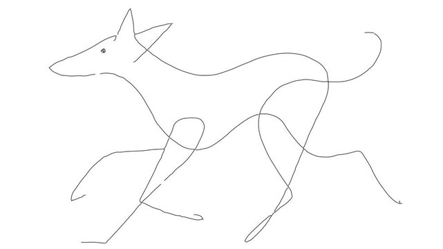 Dog The Seventh in the kingdom of dogs
