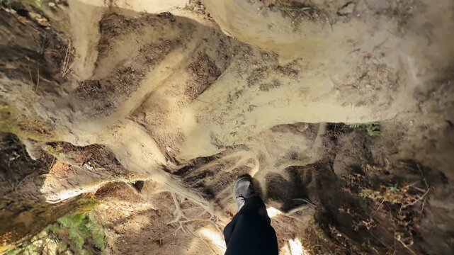 POV hiking shot, legs walking uphill on forest trail with tree roots, Everest Base Camp trek, Nepal. Trekking boots, outdoor adventure, mountain journey, nature path
