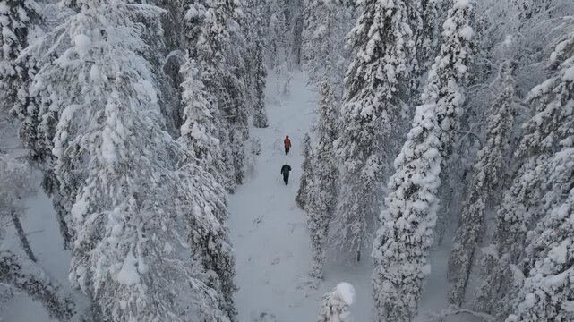 Two adventurers navigate through a snow-covered forest in Akaslompolo, surrounded by majestic trees draped in white. The tranquil winter landscape offers a peaceful escape in Lapland Finland