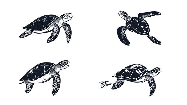 Four stylized illustrations of swimming sea turtles in various poses, with white background
