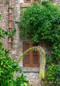 Mediterrane Architektur und Hausfassaden in Valdemossa, Mallorca, Balearen, Spanien