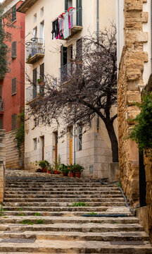 Architektur, st&auml;dtische Szenen, Sehensw&uuml;rdigkeiten und Gastronomie in Palma de Mallorca, Balearen, Spanien