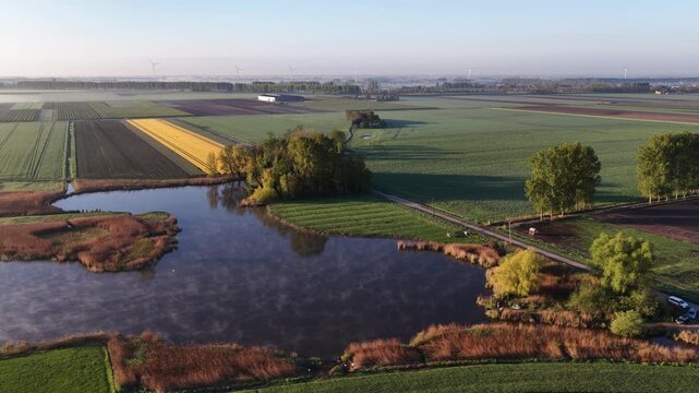 Aerial view of Netherlands polder with misty lake and flower fields