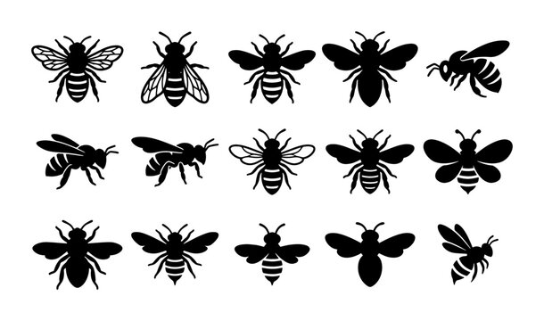 Honey bee silhouette icons set, 15 bumblebee vector elements, black bumble bee insect graphics for nature branding and honey packaging design