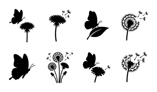 Black dandelion silhouette icons with butterflies, 8 nature vector elements, floral blowball and flying seeds, minimalist garden graphics for logo design
