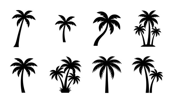 Black palm tree silhouettes set, tropical coconut tree vector icons, 8 exotic summer plant elements for beach vacation and travel design