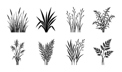 Black grass silhouette set of 8 vector icons, wild meadow plants and field weeds, botanical reed and marsh grass tufts for landscape design © Muna