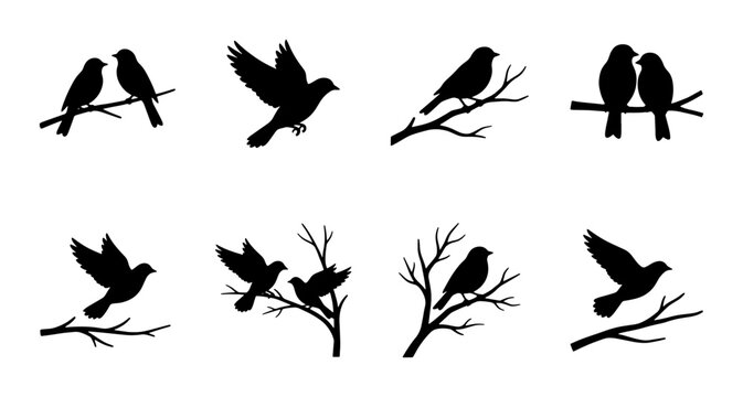 Black bird silhouettes on tree branches, set of 8 avian vector icons, flying and perched songbirds, nature wildlife elements for graphic design